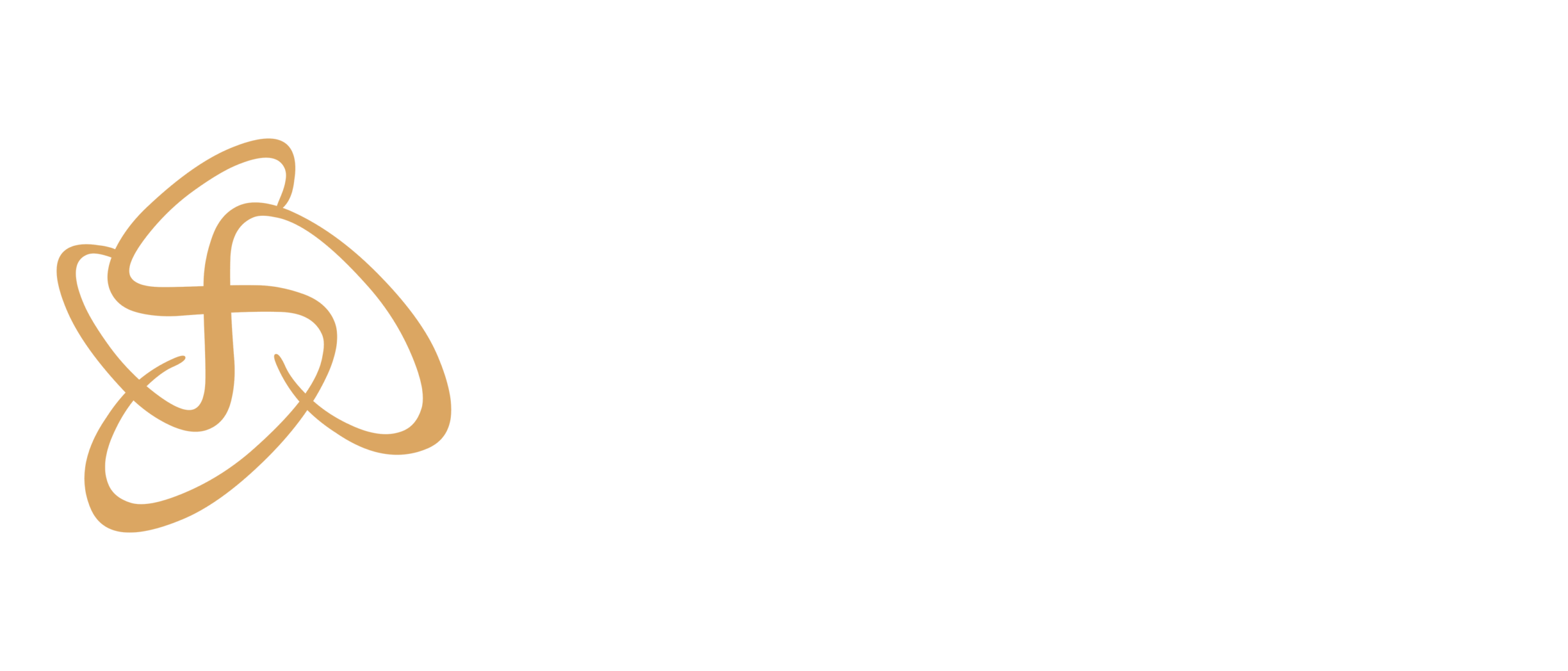 srushtivisuals.com
